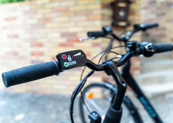 Nyaraló Foxforest Zalakaros