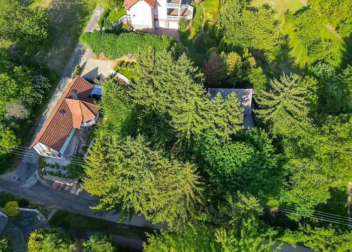 Foxforest * Zalakaros